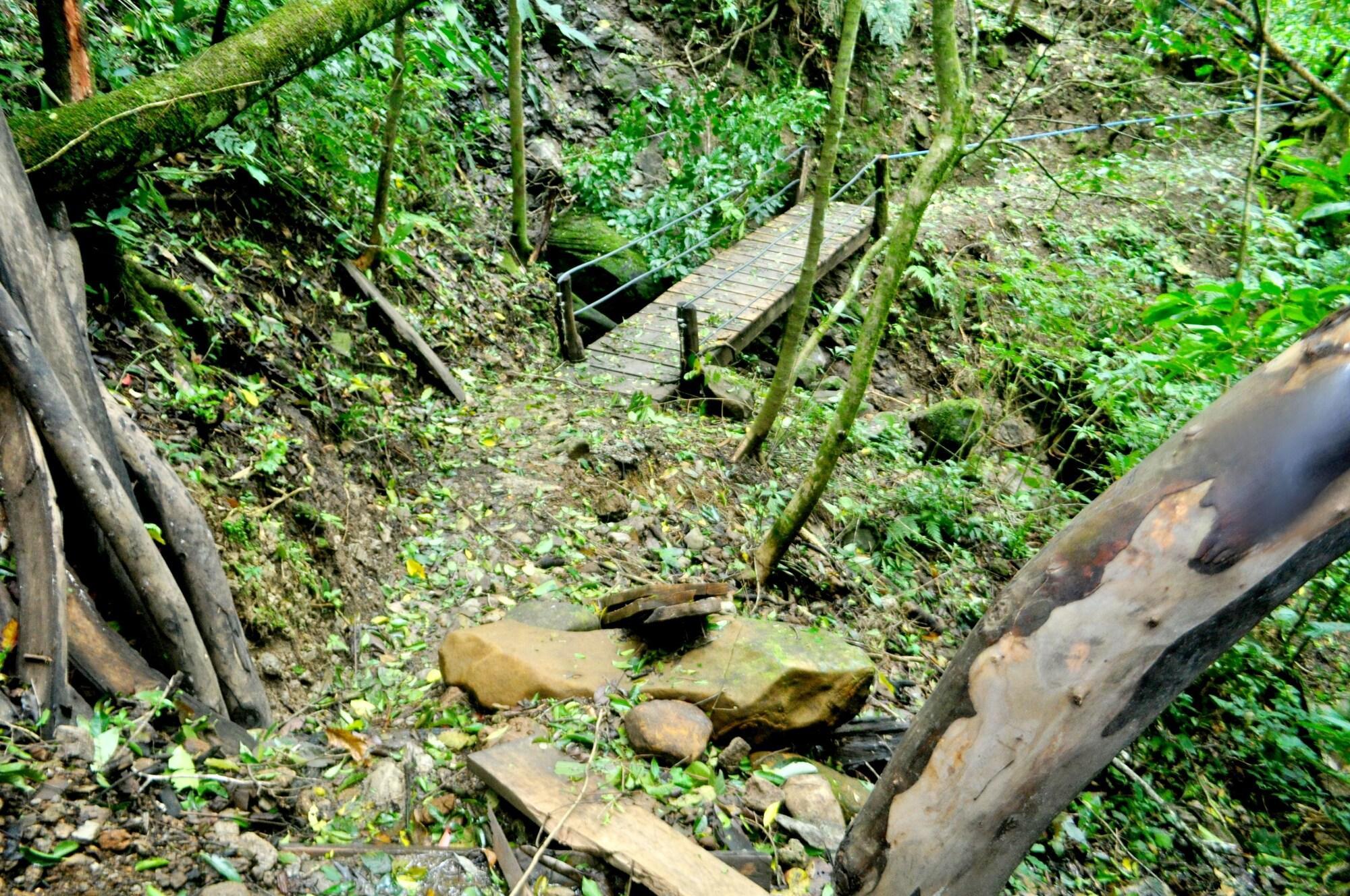 Elida Trails & Eco-Lodge Monteverde Esterno foto