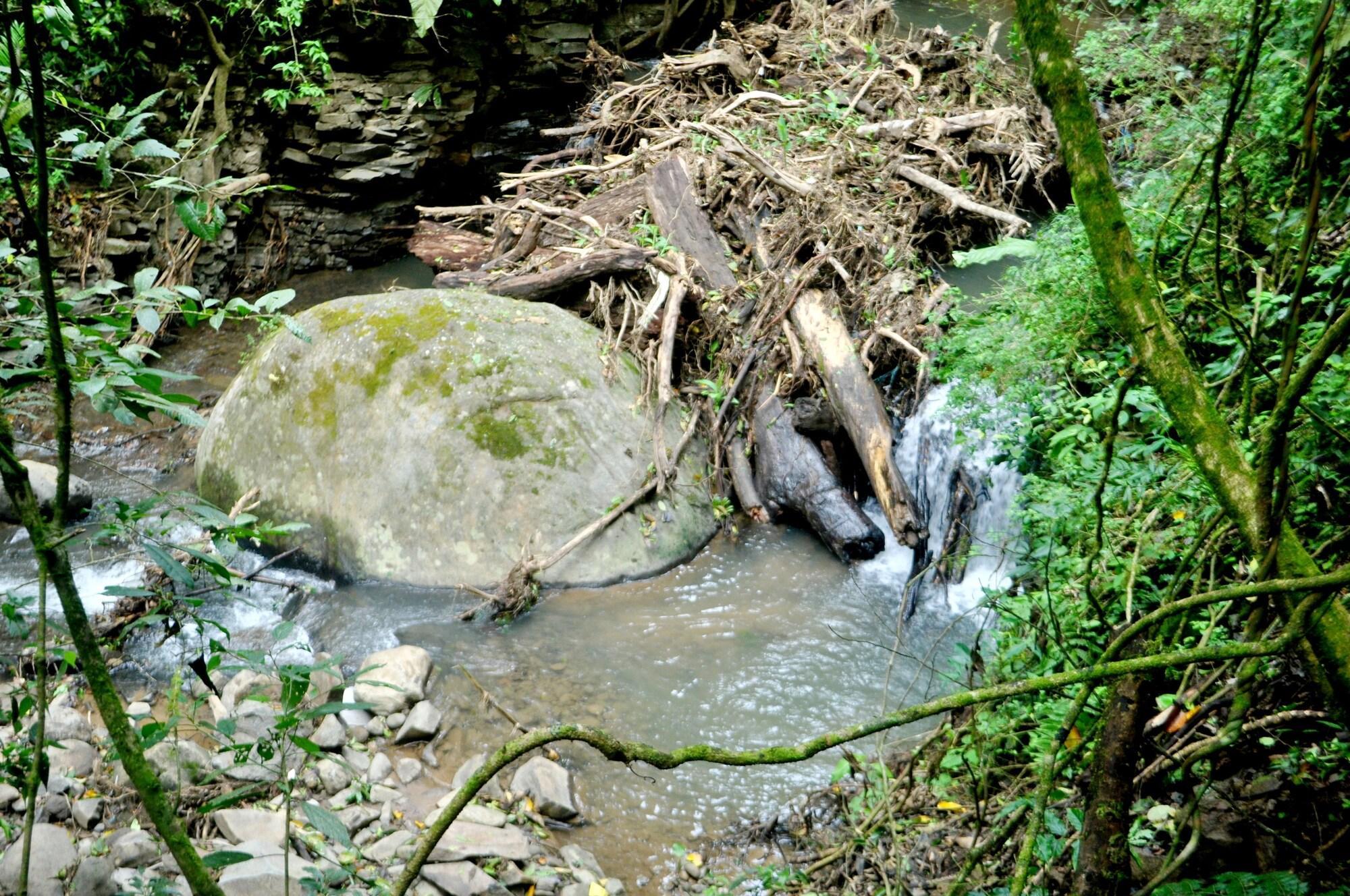 Elida Trails & Eco-Lodge Monteverde Esterno foto